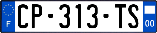 CP-313-TS