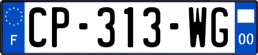 CP-313-WG