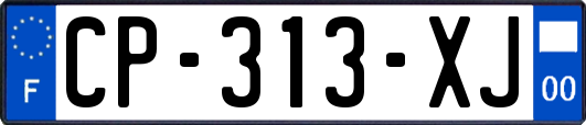 CP-313-XJ