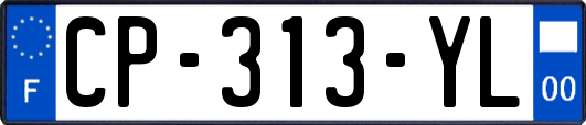 CP-313-YL