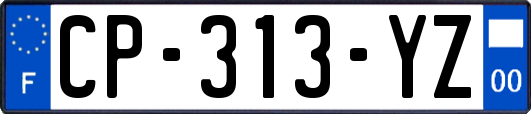 CP-313-YZ