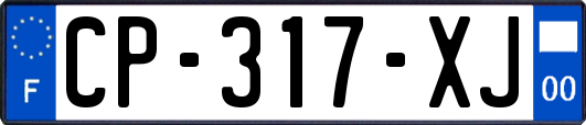 CP-317-XJ