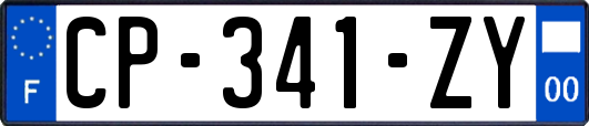 CP-341-ZY