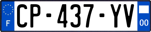 CP-437-YV