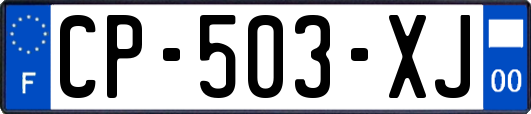 CP-503-XJ