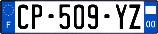 CP-509-YZ