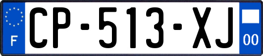 CP-513-XJ