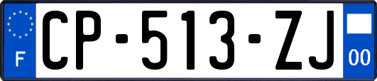 CP-513-ZJ