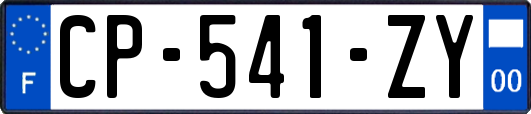 CP-541-ZY