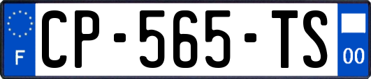 CP-565-TS