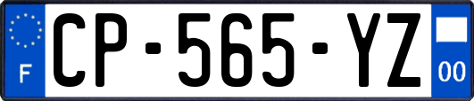 CP-565-YZ