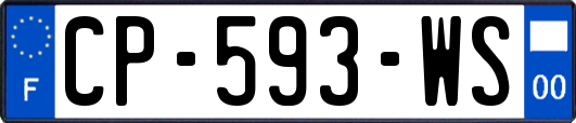 CP-593-WS