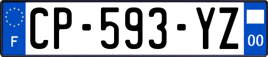 CP-593-YZ