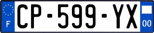 CP-599-YX