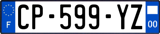 CP-599-YZ