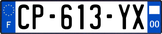 CP-613-YX