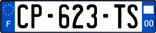 CP-623-TS