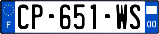 CP-651-WS