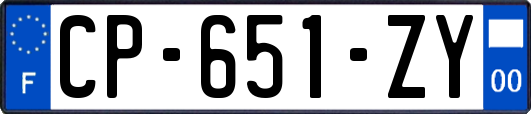 CP-651-ZY