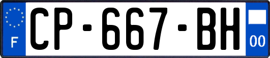 CP-667-BH