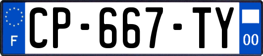 CP-667-TY