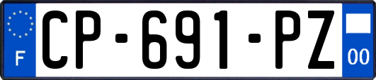 CP-691-PZ