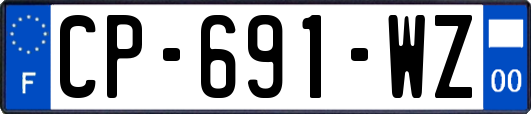 CP-691-WZ