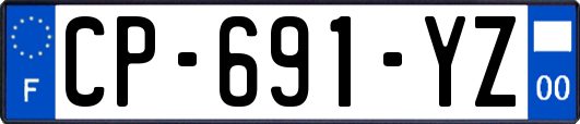CP-691-YZ