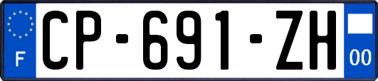 CP-691-ZH