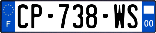 CP-738-WS