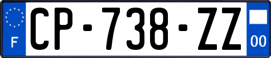 CP-738-ZZ