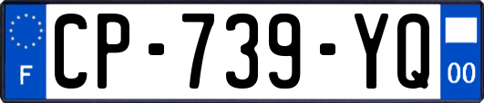 CP-739-YQ