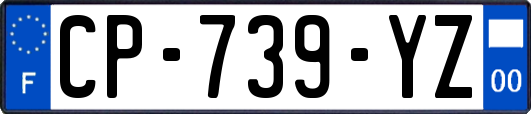 CP-739-YZ