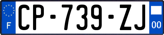 CP-739-ZJ