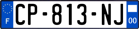 CP-813-NJ