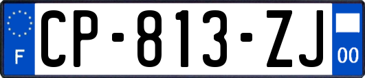 CP-813-ZJ