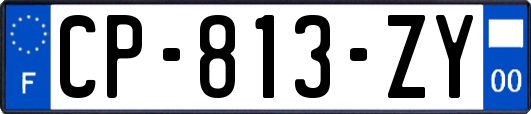 CP-813-ZY