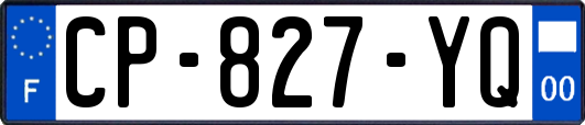 CP-827-YQ