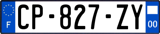 CP-827-ZY