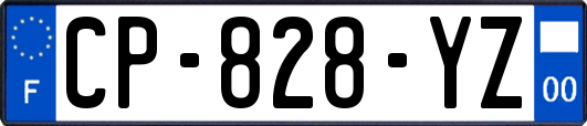 CP-828-YZ