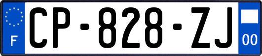 CP-828-ZJ