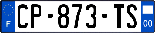 CP-873-TS