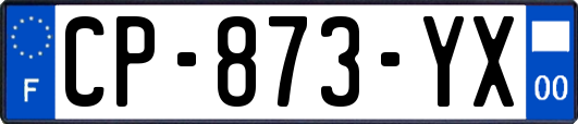 CP-873-YX