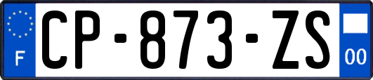 CP-873-ZS