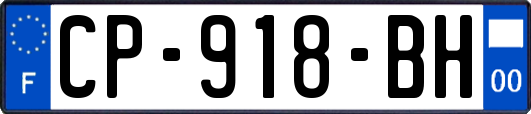 CP-918-BH