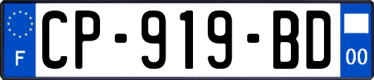 CP-919-BD