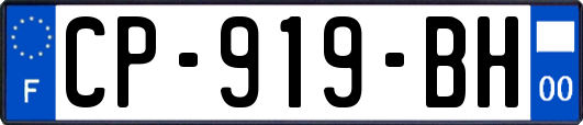 CP-919-BH