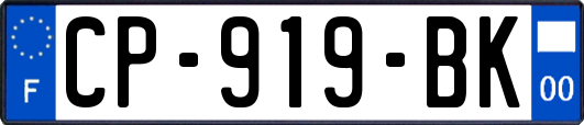 CP-919-BK