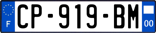 CP-919-BM