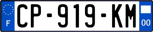 CP-919-KM